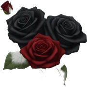 Gothic Black roses and dark red roses in a bouquet  sticker