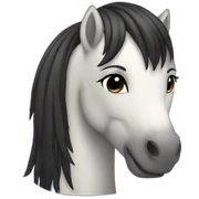 Pony sticker