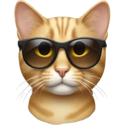Cat with sunglasses sticker