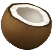 coconut  sticker