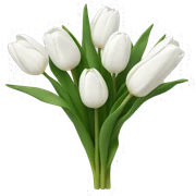White tulips sticker