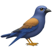 OISEAU sticker