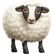 Sheep cow sticker