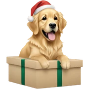 Golden retriever sitting on beige Christmas present  sticker