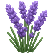 lavender  sticker