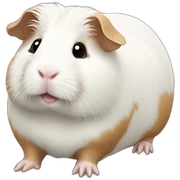 White Guinea pig sticker