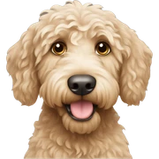 Labradoodle sticker