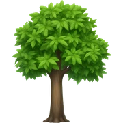 tree sticker