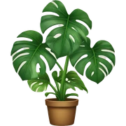Monstera plant sticker