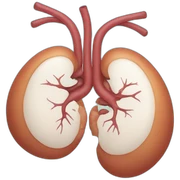 kidney sticker