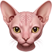 Sphynx cat sticker