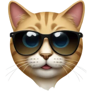 Cat with sunglasses sticker