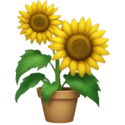 sunflower sticker