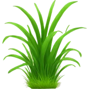 grass sticker