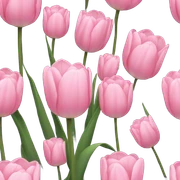 Pink tulip sticker