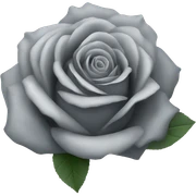 gray rose sticker