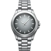 silver watch sticker