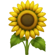 Sunflower  sticker