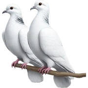 Pair Pigeon white colour  sticker