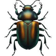 beetle  sticker