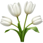 White tulips  sticker