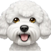 bichon frise sticker