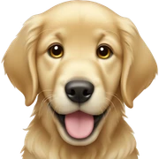 Golden retriever puppy laying sticker
