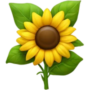 Yellow sticker