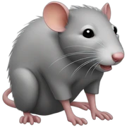 rat cold sticker