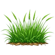 Annual Ryegrass sticker