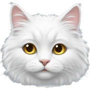 white fluffy cat sticker