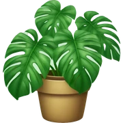 Monstera plant sticker