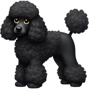 Black poodle sticker