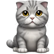 Gray Scottish fold sitting sticker