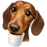 dachshund-coffe sticker