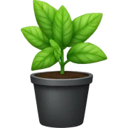plant sticker