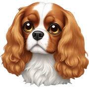 Cavalier king  sticker