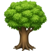 tree sticker