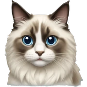 Ragdoll cat sticker