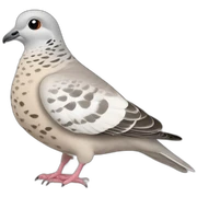 Turtle dove sticker
