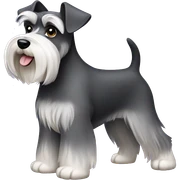 miniature schnauzer sticker