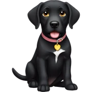 Labradors black sticker