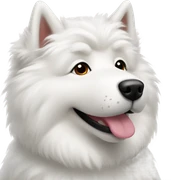 Samoye sticker