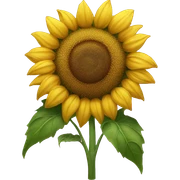 Sunflower sticker