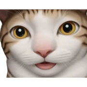 cute girl with cat meme sticker