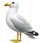 Seagull sticker
