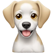 Perrita blanca  con ojos cafés pequinés c sticker