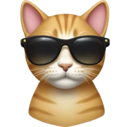 Cat with sunglasses sticker