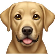 labrador sticker