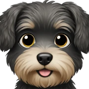 all-black-hairy-small-dog sticker